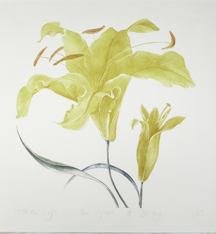Coloured Lithograph 1/65
